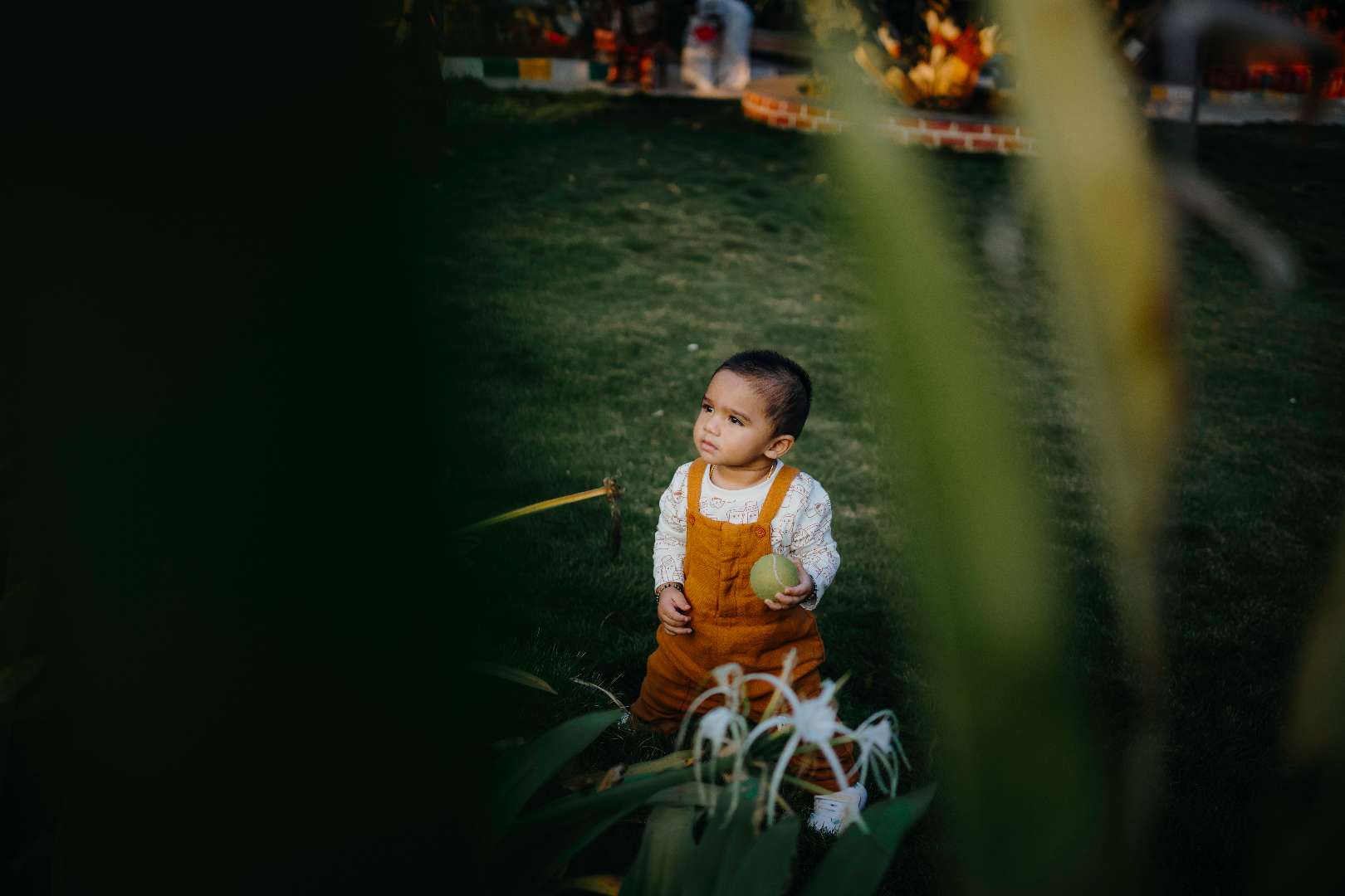 Birthday Photography birthday-5